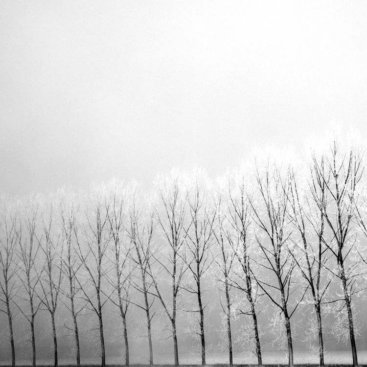 something in the nothing