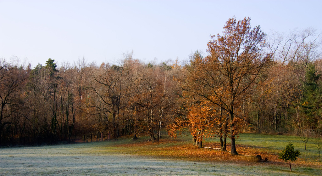Mentre la brina si scioglie...