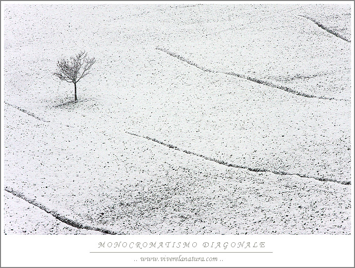 monocromatismo diagonale
