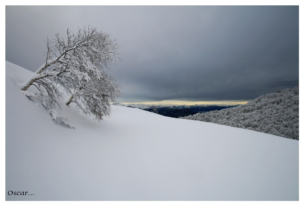 asociali...per natura...