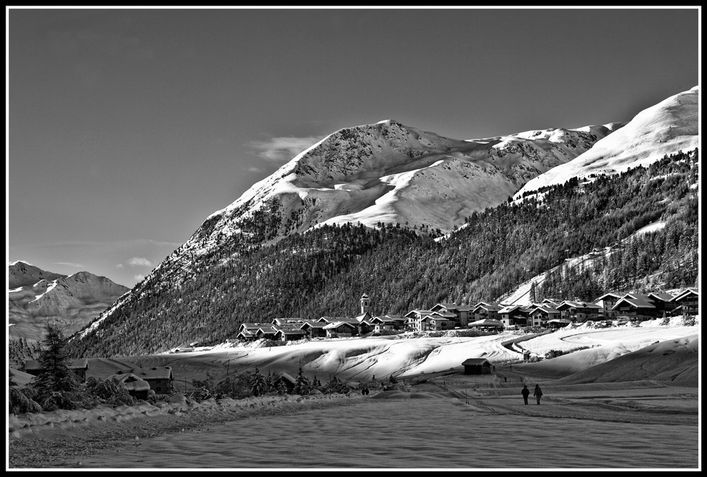 ...  altra   L i v i g n o ..