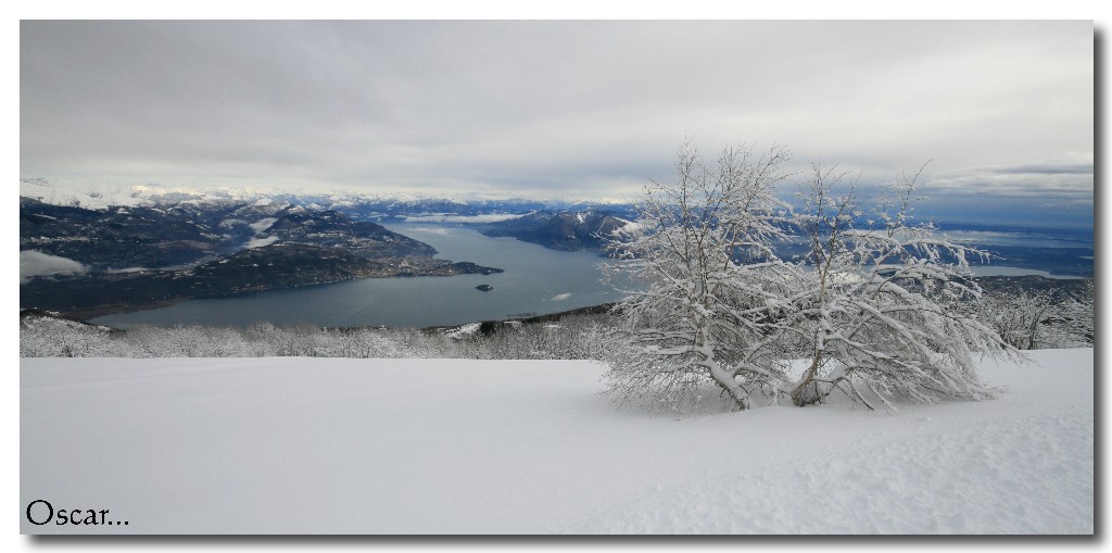 spettatori d'inverno..