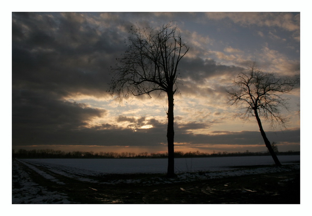 arriva la pioggia che scioglie la neve