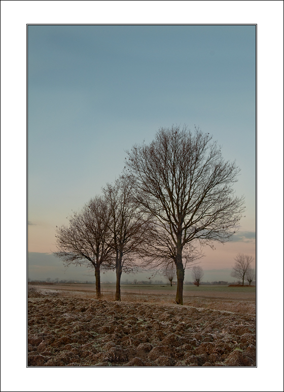 Rigorosamente in scala