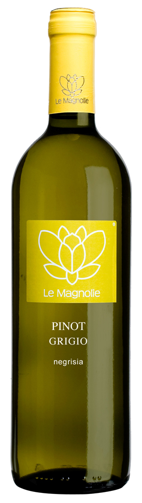 pinot grigio