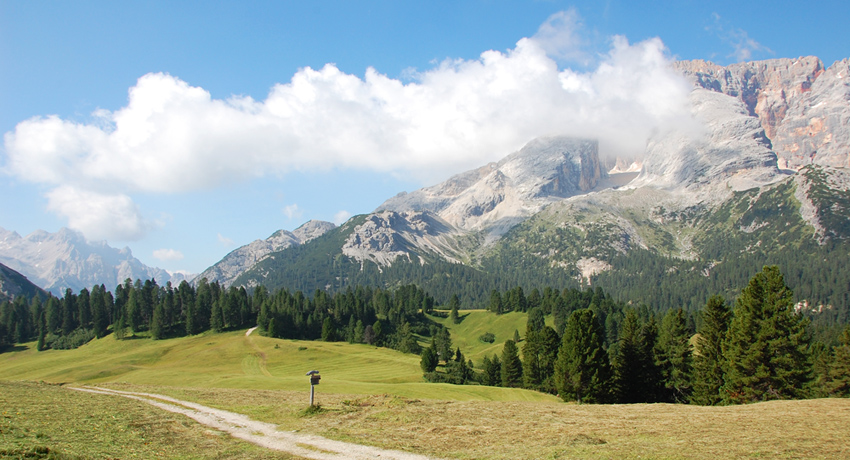 Prato Piazza - Dolomiti
