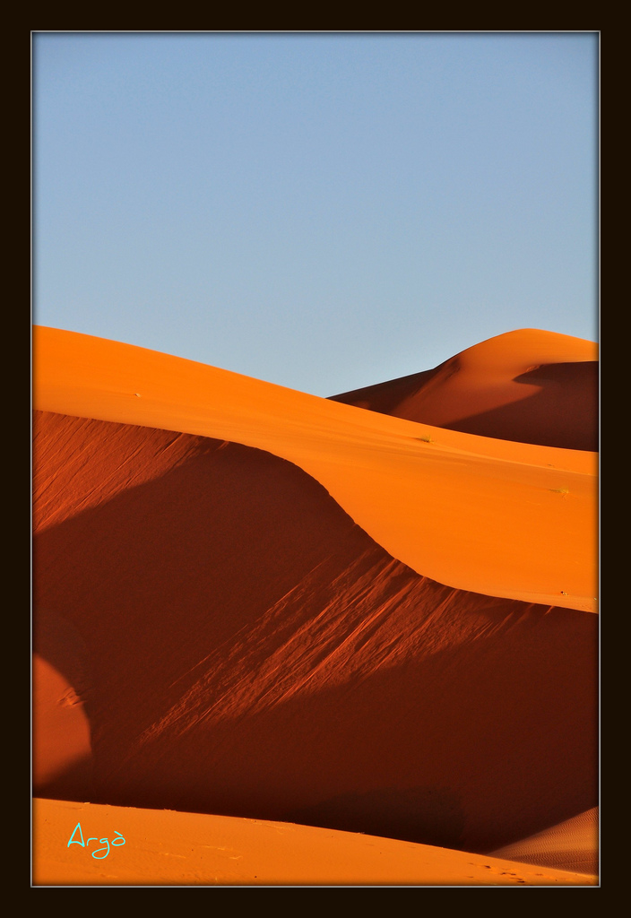 Sahara
