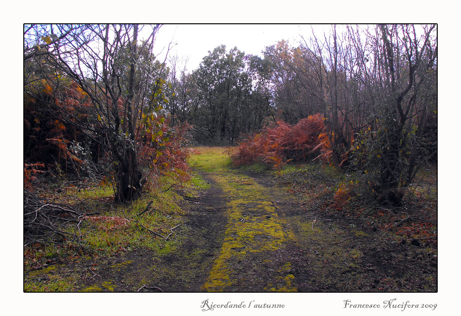 Ricordando l'autunno