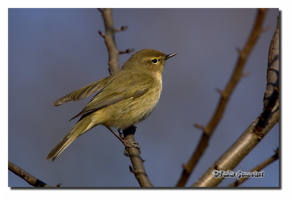 Et voil� le  Lu�-Petit