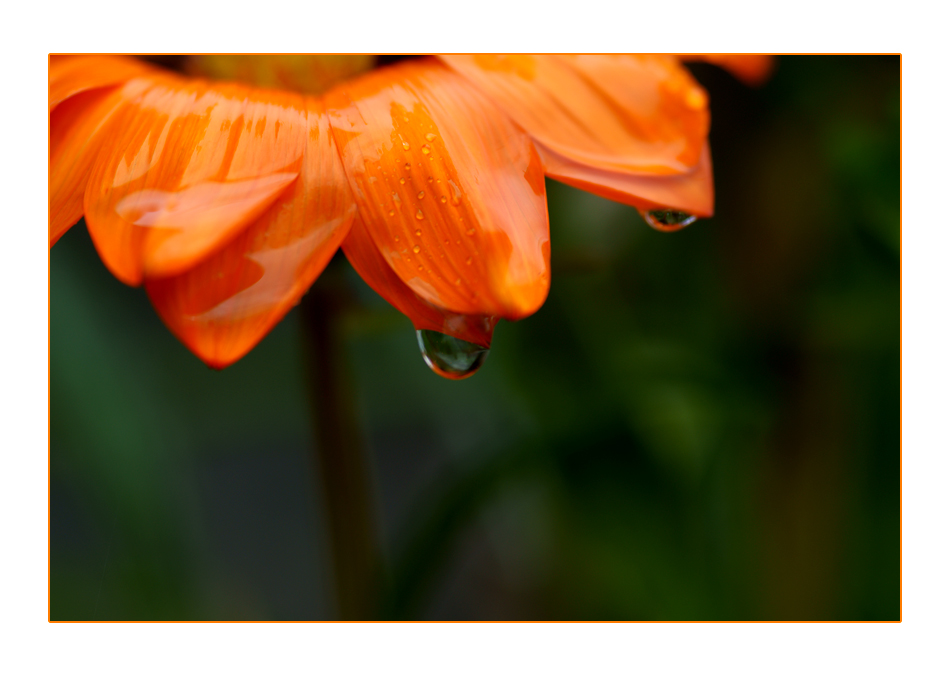 Sotto la pioggia ...