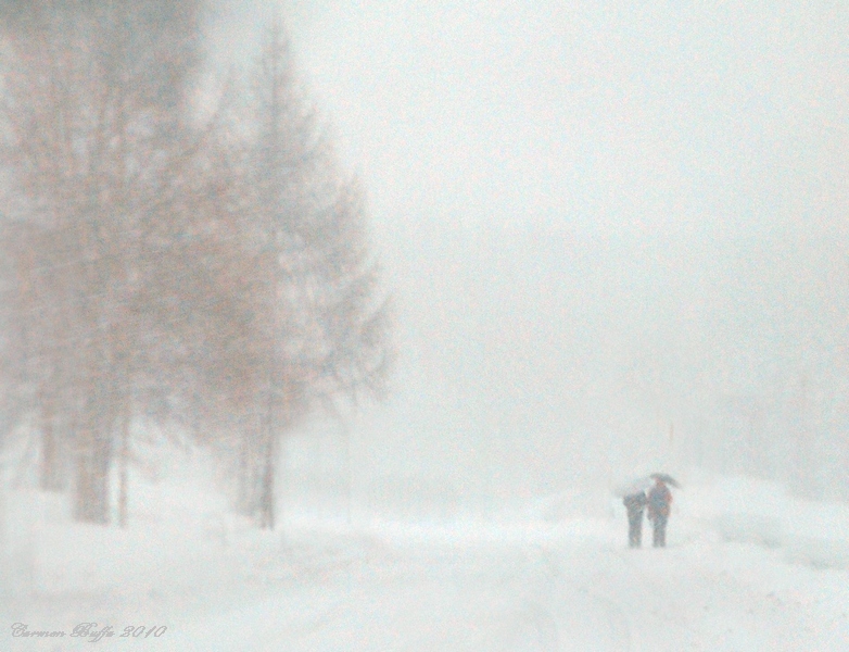 Bufera di neve