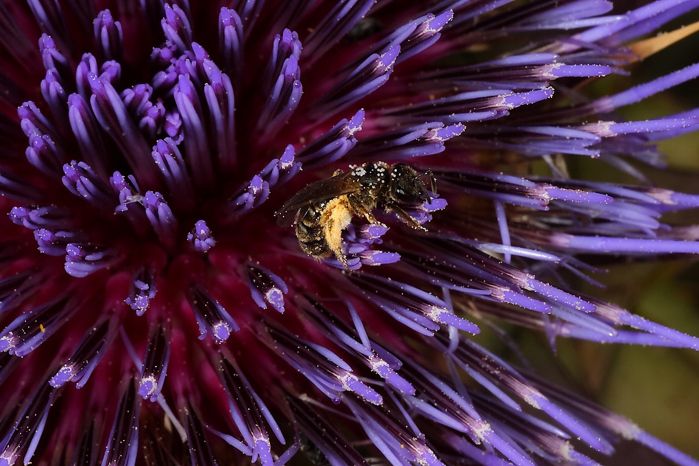 ...Vecchi Ricordi...!!!