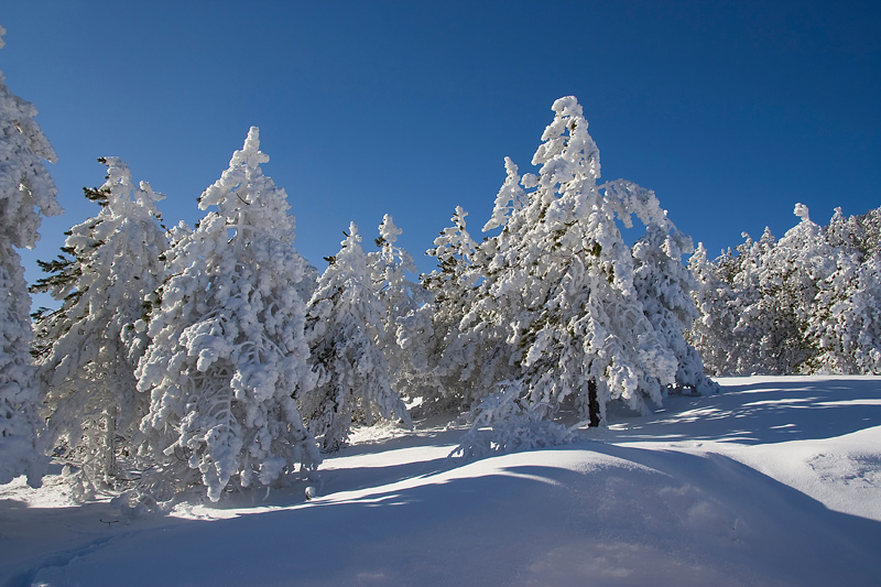 paesaggio innevato 02