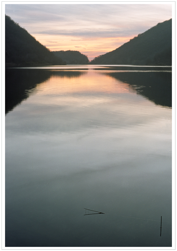 nelle piccole cose cerco la differenza