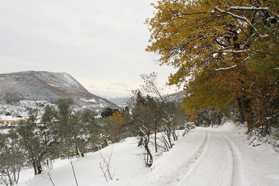 e un giorno la siberia arriv�.....