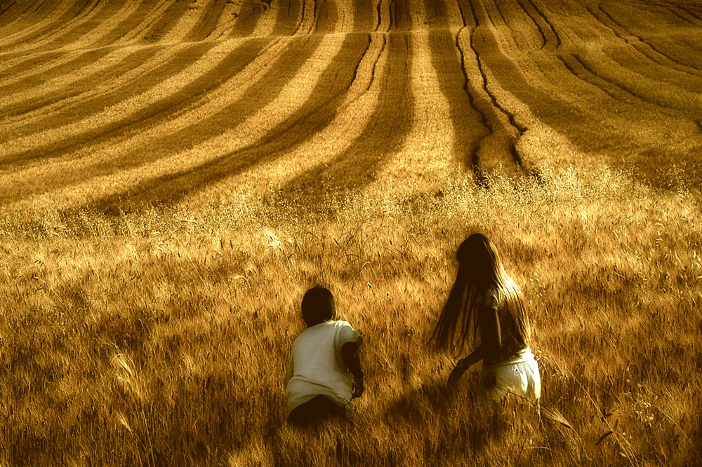 In search of the lost gold