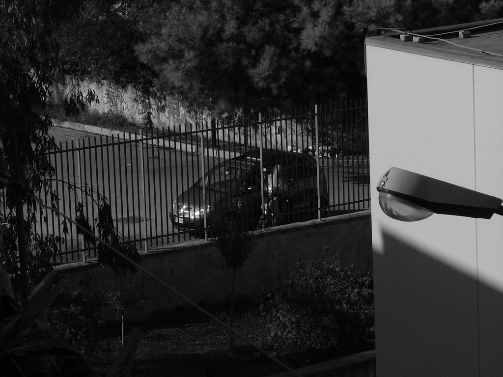 Appostamento stile poliziesco...un p� sottoesposto