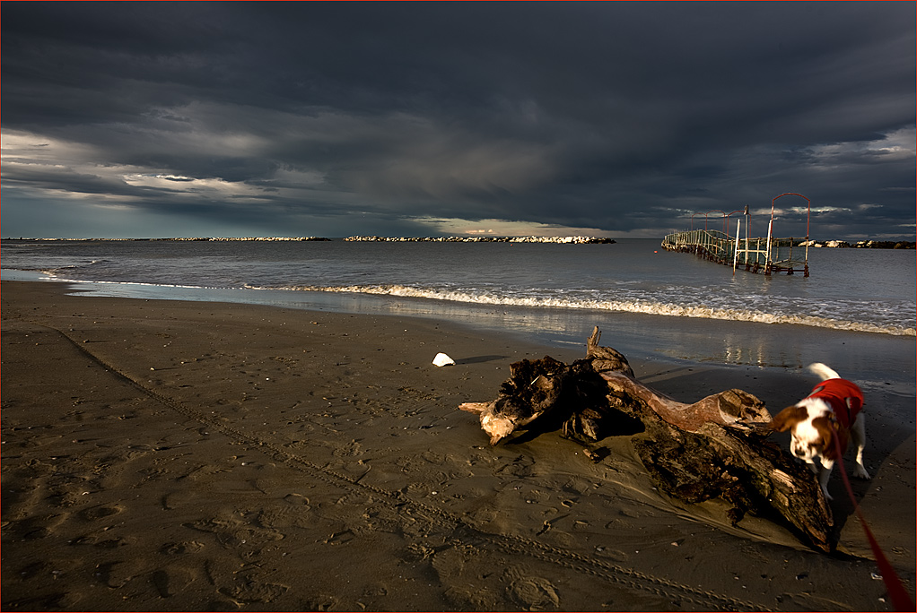 Dopo la Mareggiata..