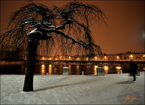 The Spider tree in action