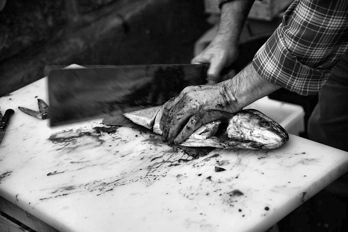 A Piscaria - Reportage