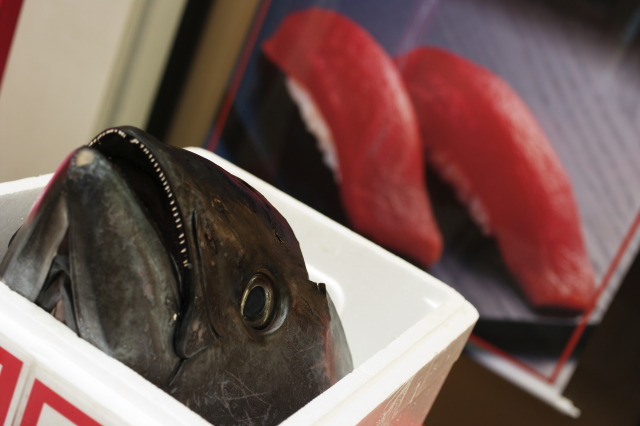 Tsukiji Fish Market