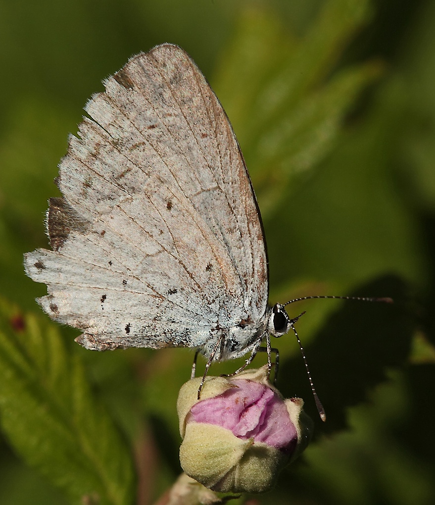 ...Quasi Alla Fine...!!!