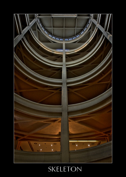 Skeleton