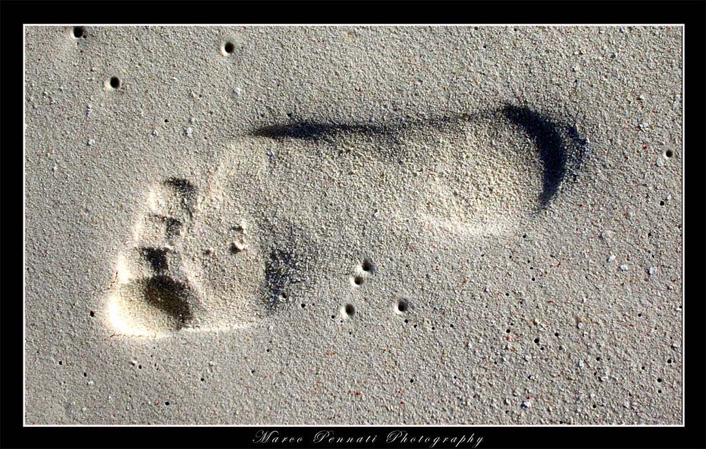 impronta a Los Roques