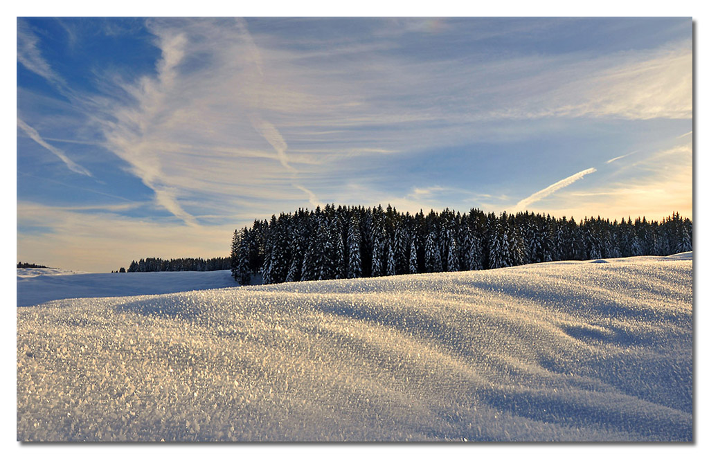 Il bosco dei cristalli
