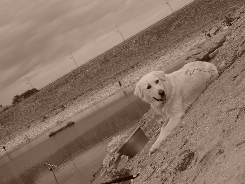 Riposo lungo il fiume