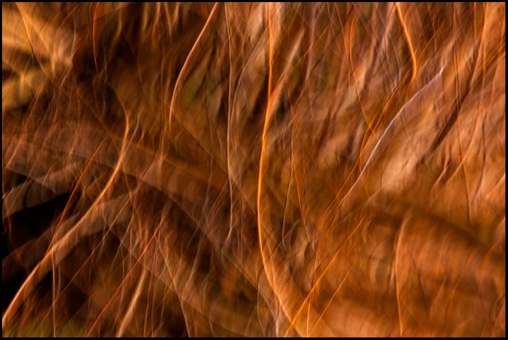 IngannevoliApparenze