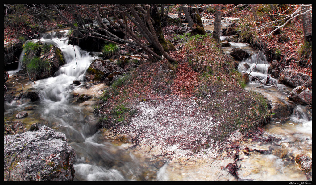 scorcio di un torrente