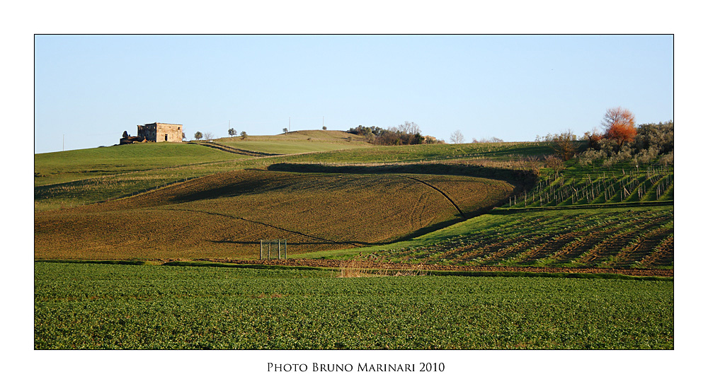 Terre Toscane