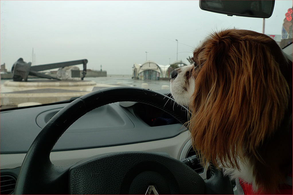 E ora dove cacchio vado?