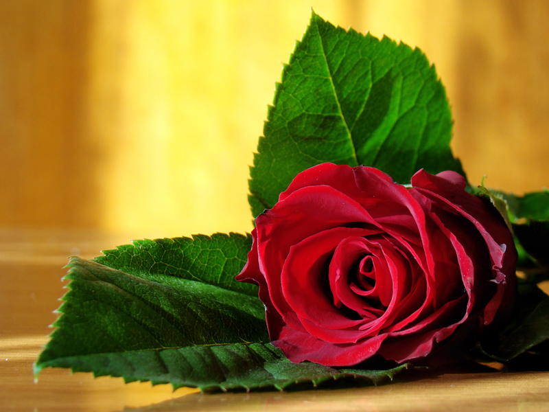 Something for Valentine