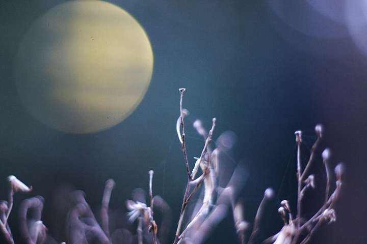 Foto da un altro mondo