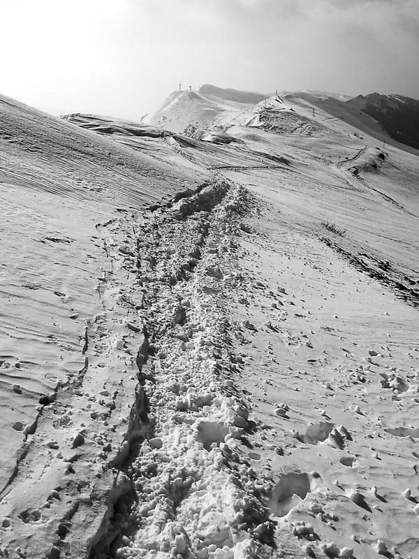 inverno a 1850m B/W