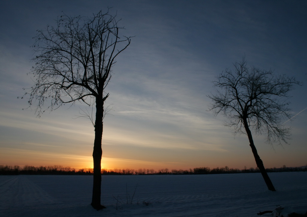 all'alba di un sogno invernale