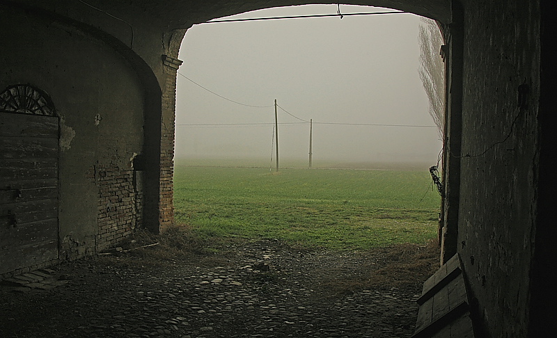 oggi nebbia