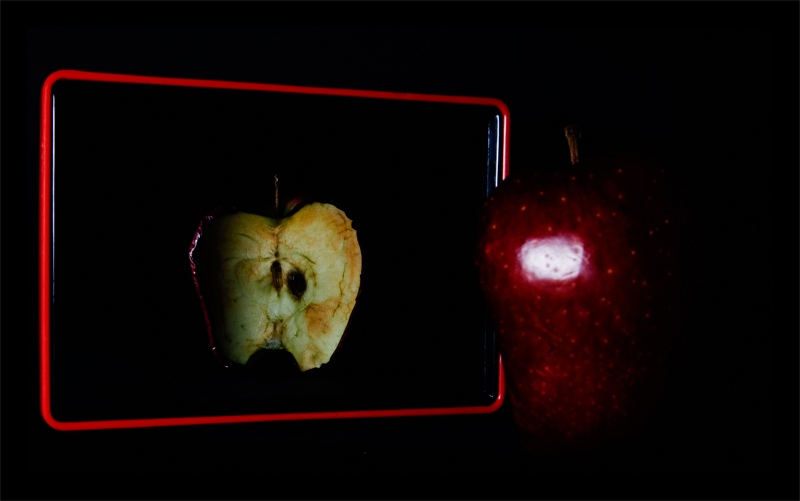 Attraverso lo specchio - Il ritratto di Apple Gray