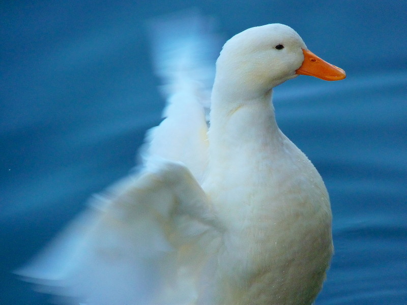 mi sgranchio un p� le ali..