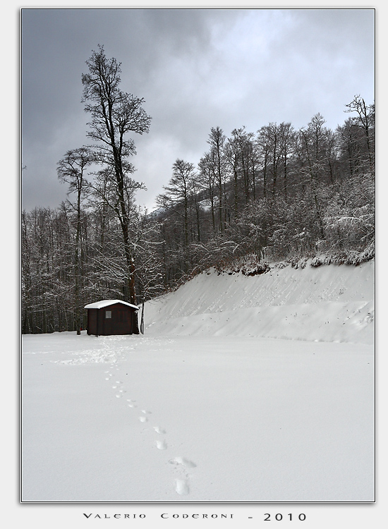 Casetta sospetta (2)