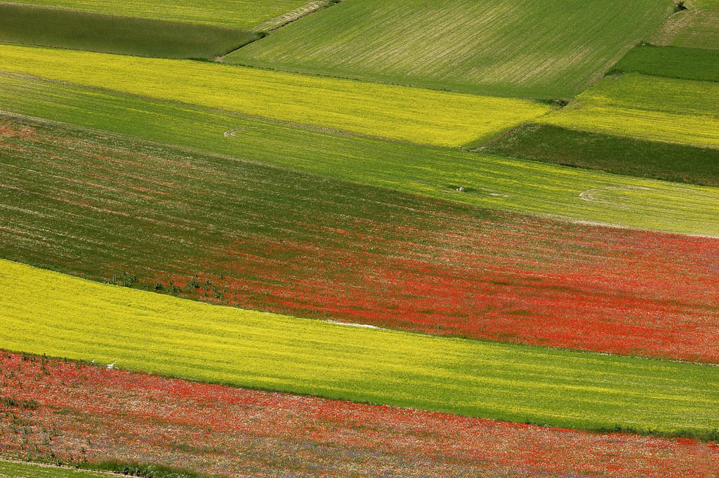 I colori di Castelluccio