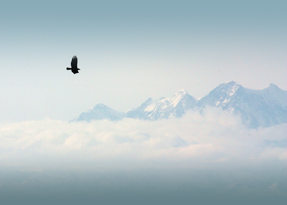 Dove arrivo solo io...