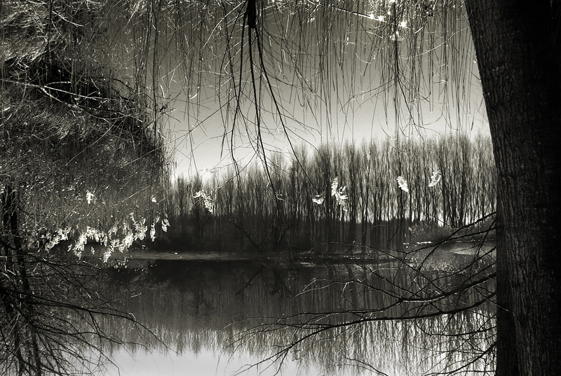 contest 'attraverso lo specchio'