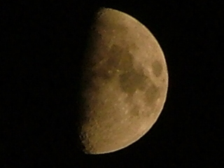 luna crop 1