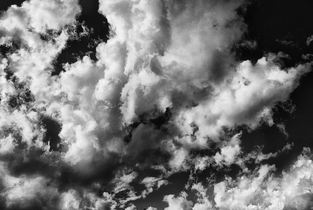 aspettando un c�nno...