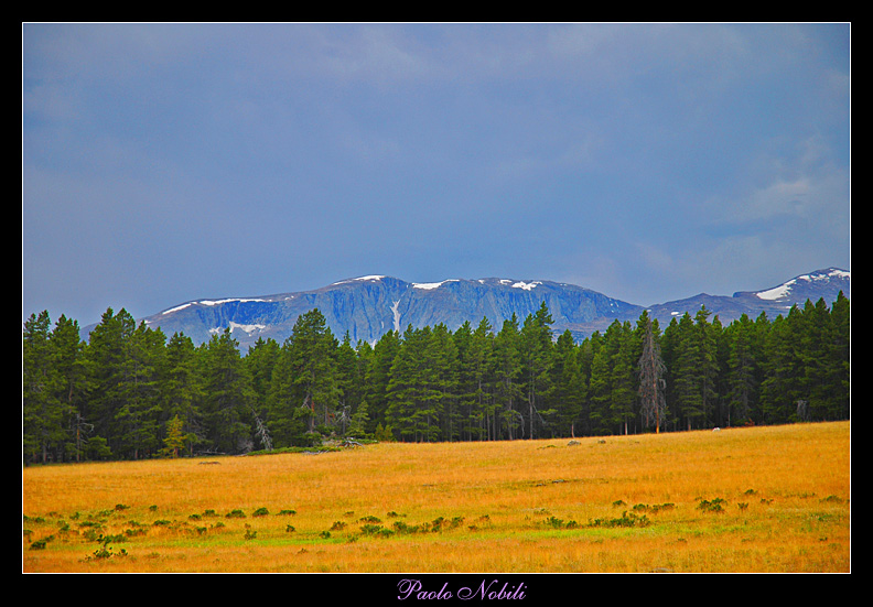 Valley of the Little Bighorn