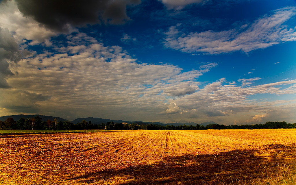Fuori dal finestrino