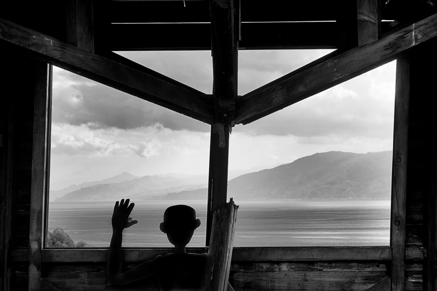 La casa di pinocchio